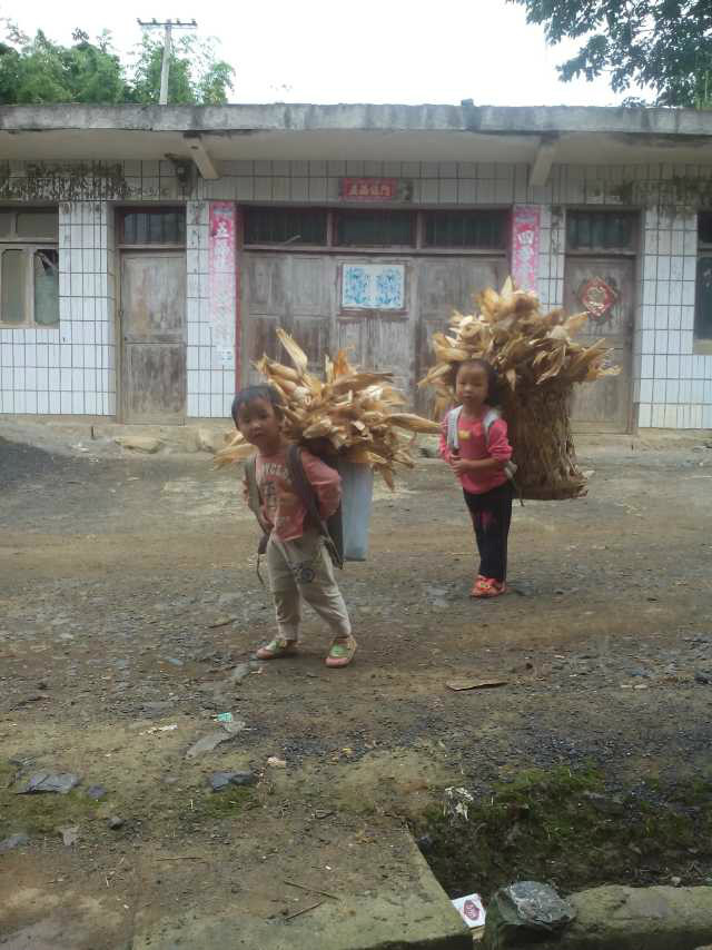 铁l算盘资料大全