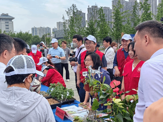 铁l算盘资料大全